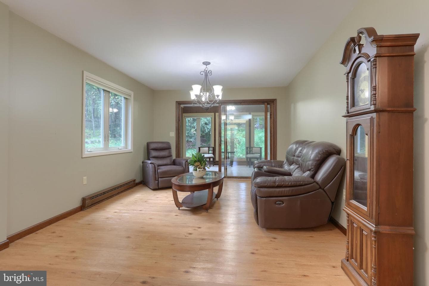 903 Tulip Tree Drive photo 14