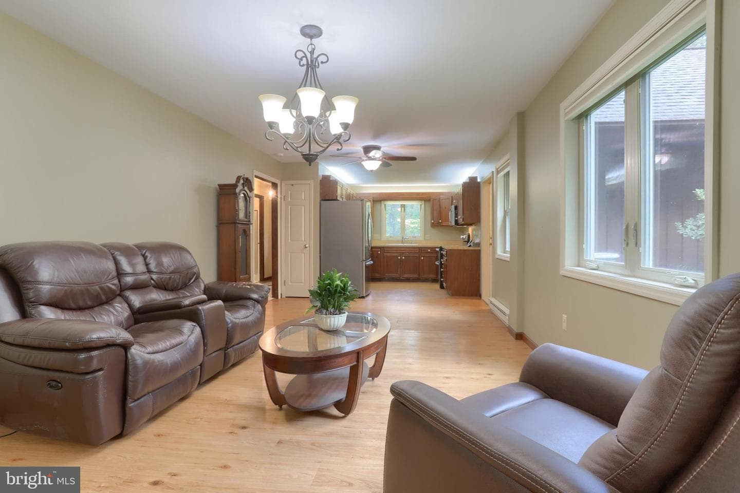 903 Tulip Tree Drive photo 15