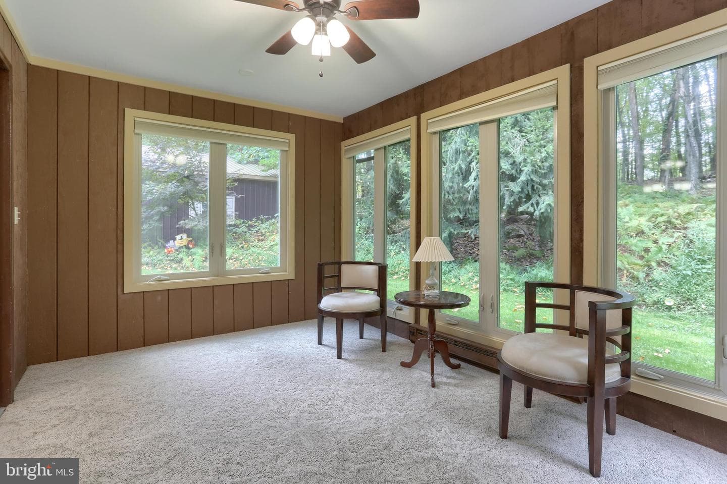 903 Tulip Tree Drive photo 18