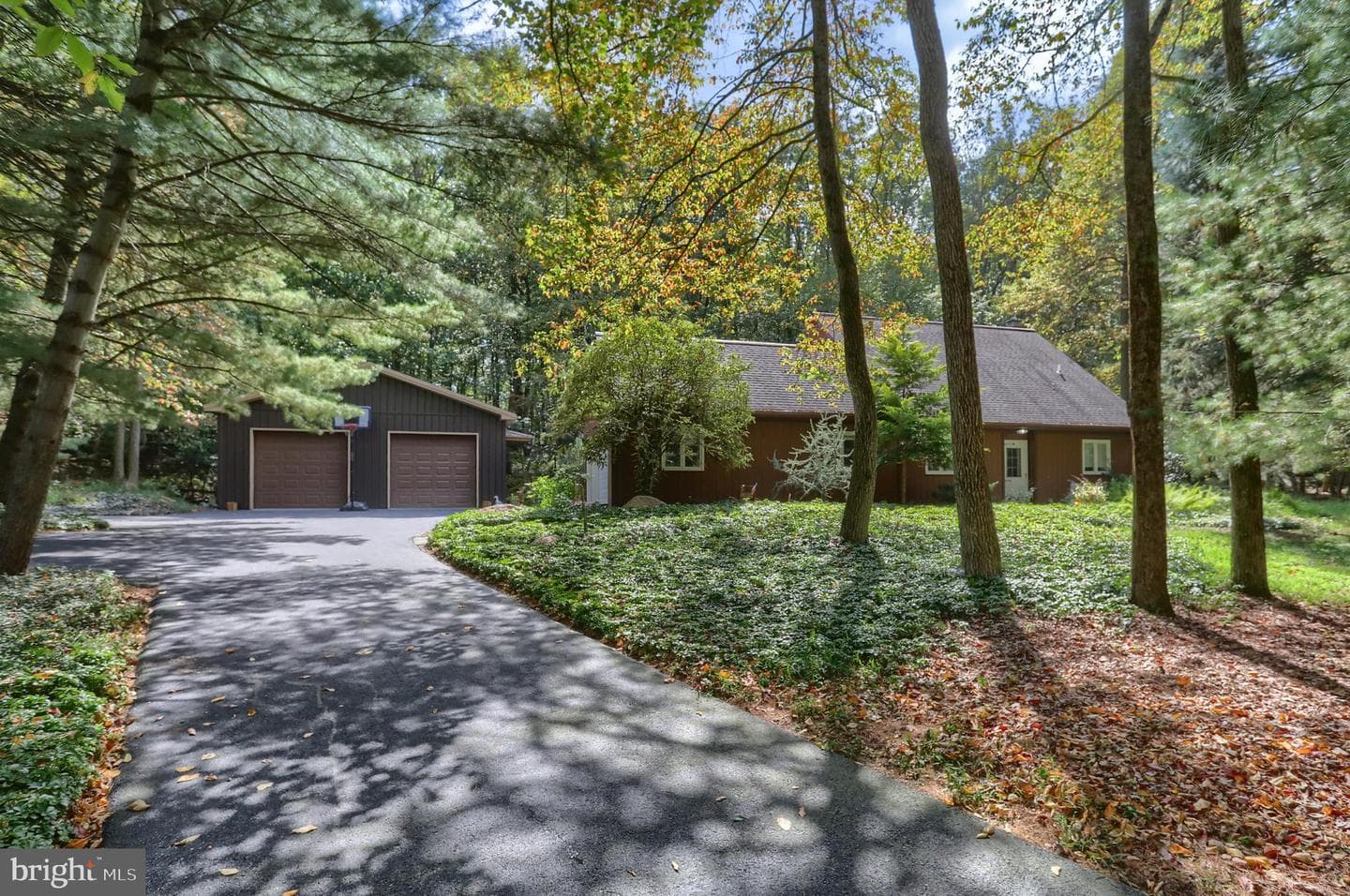 903 Tulip Tree Drive photo 2