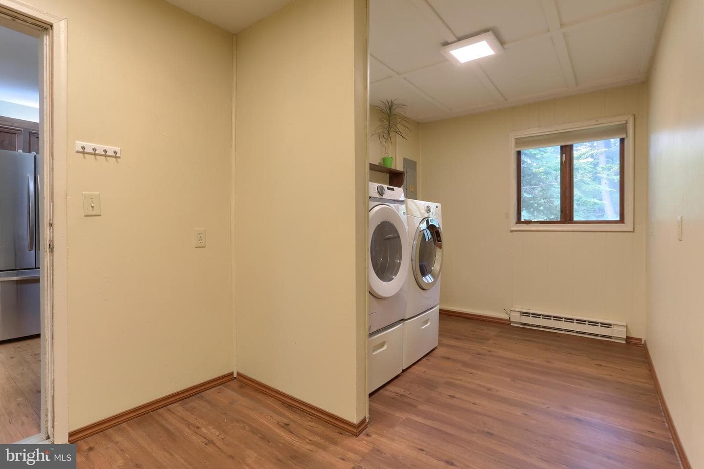 903 Tulip Tree Drive photo 22