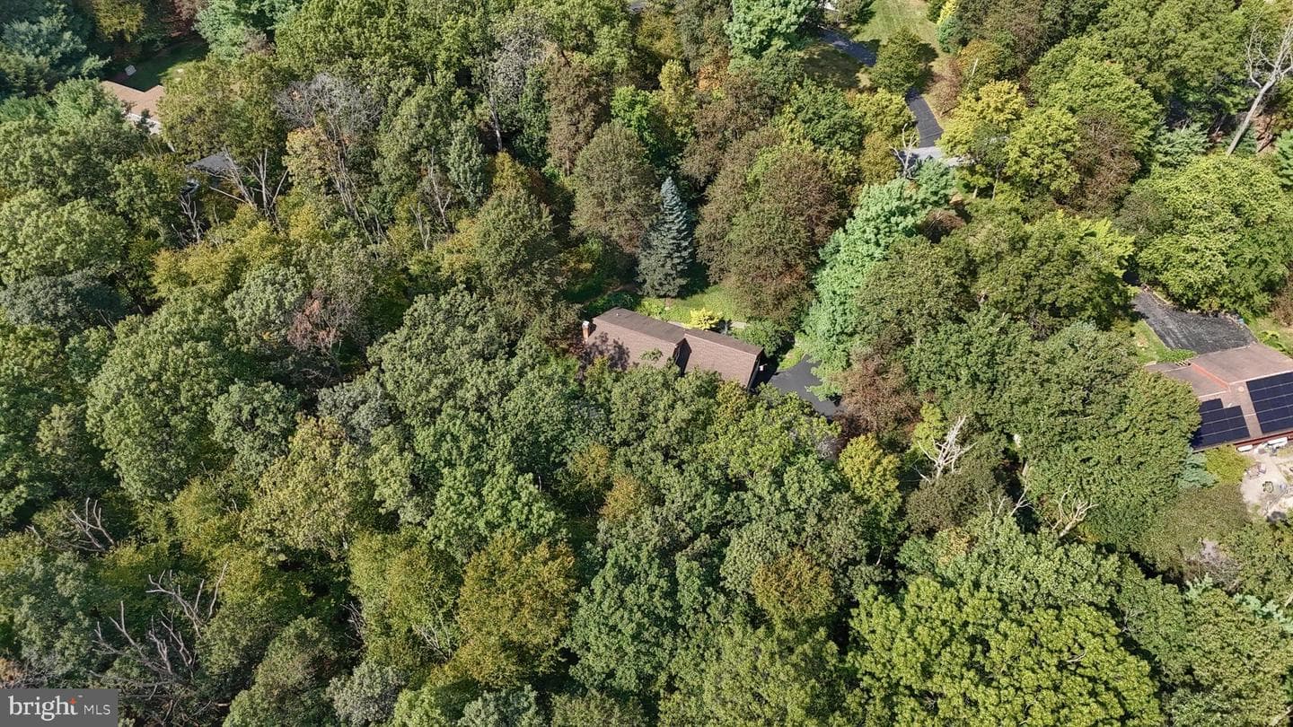 903 Tulip Tree Drive photo 48