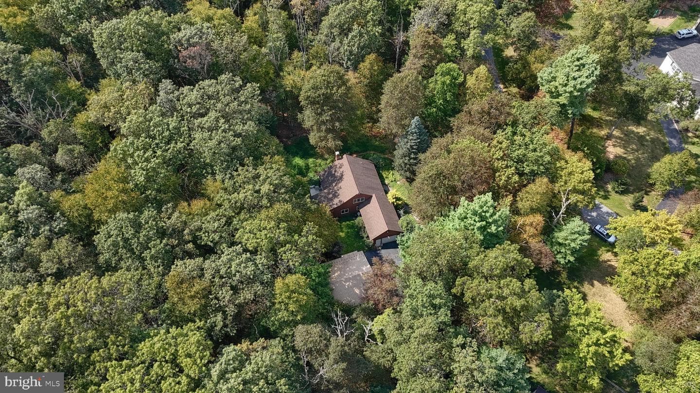 903 Tulip Tree Drive photo 49