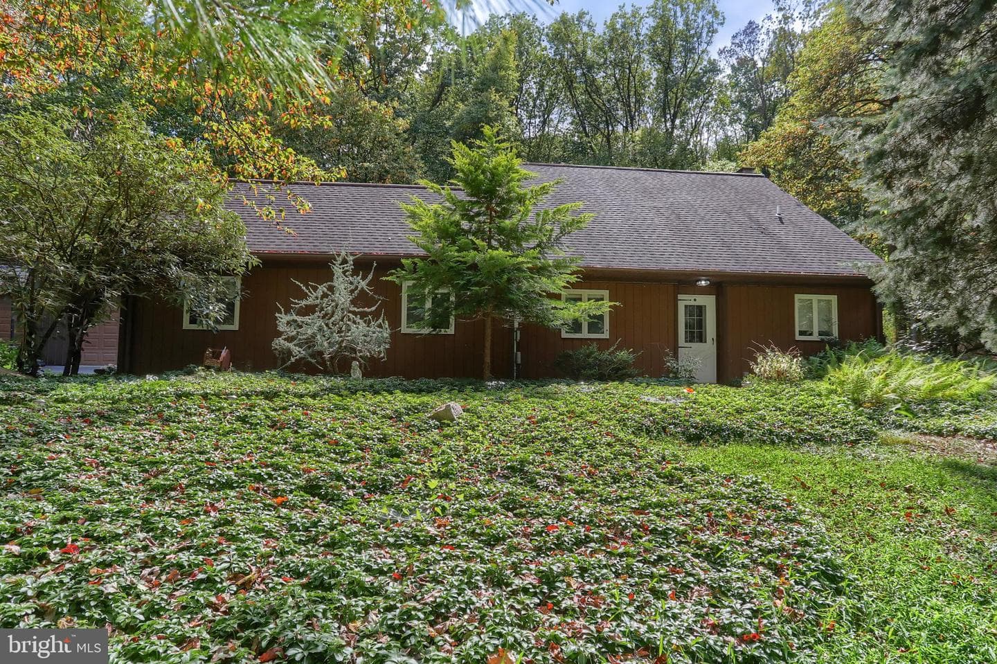 903 Tulip Tree Drive photo 7