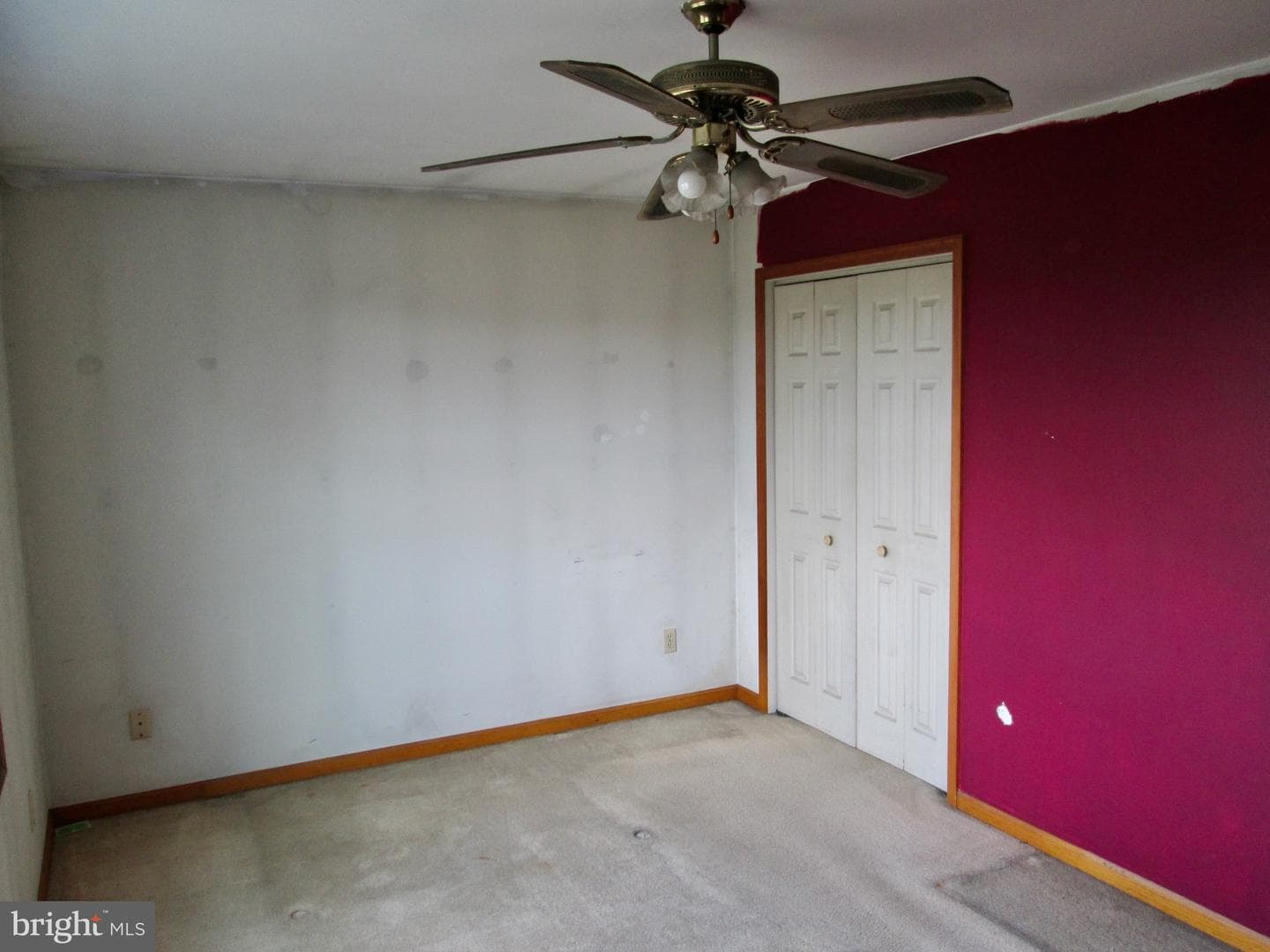 409 E Rosebud Road photo 17