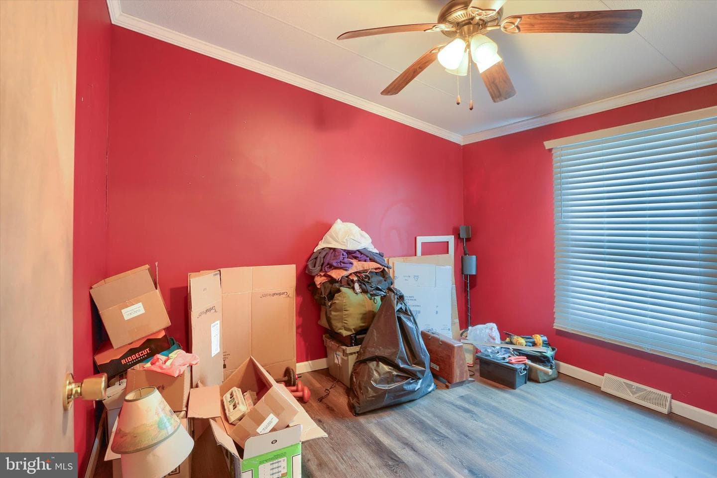 24 Reo Dr photo 19