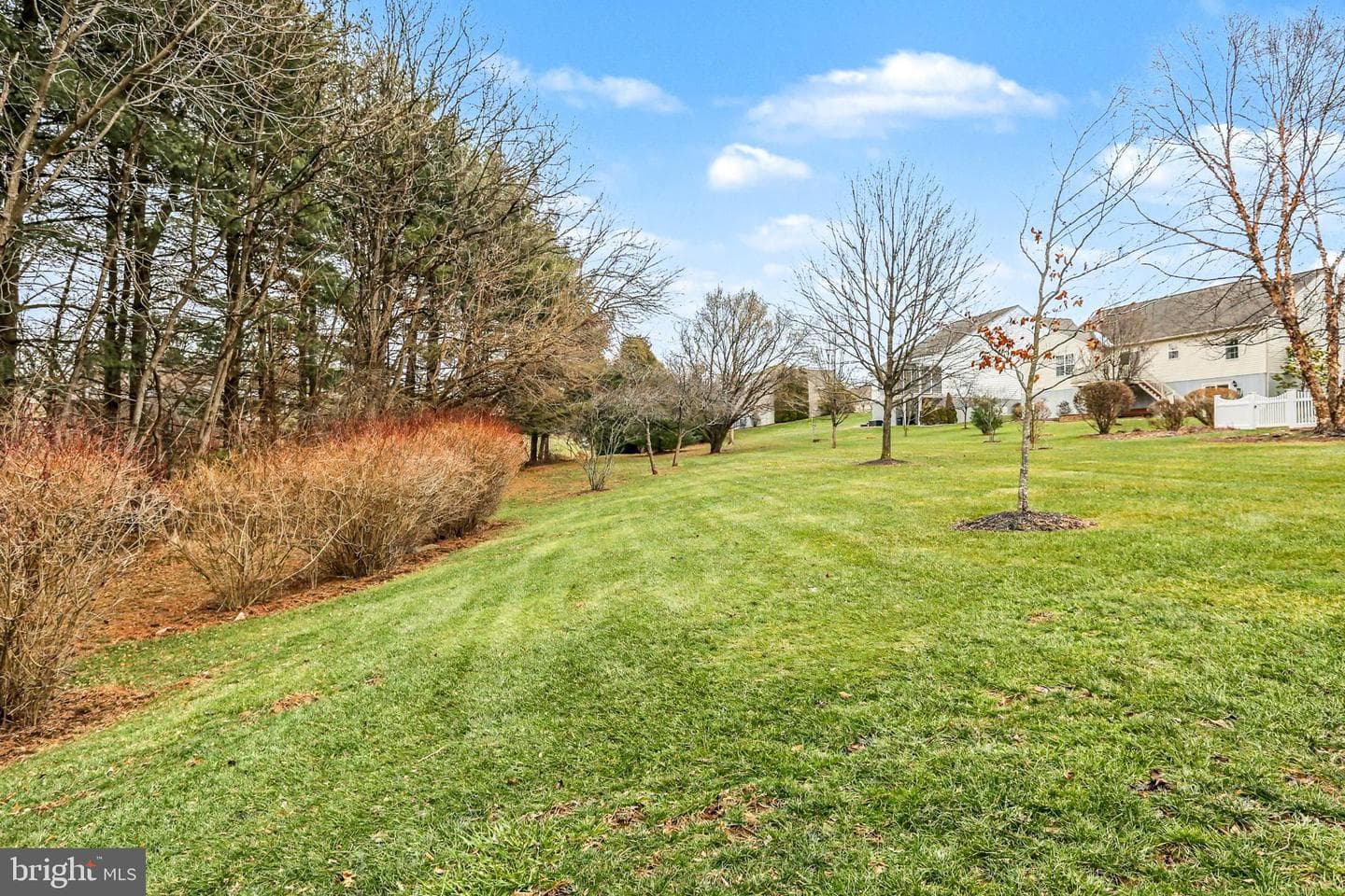 905 Walnut Crest Dr L-0064 Drive photo 47