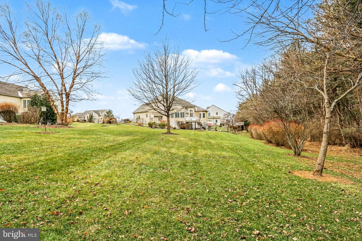 905 Walnut Crest Dr L-0064 Drive photo 50