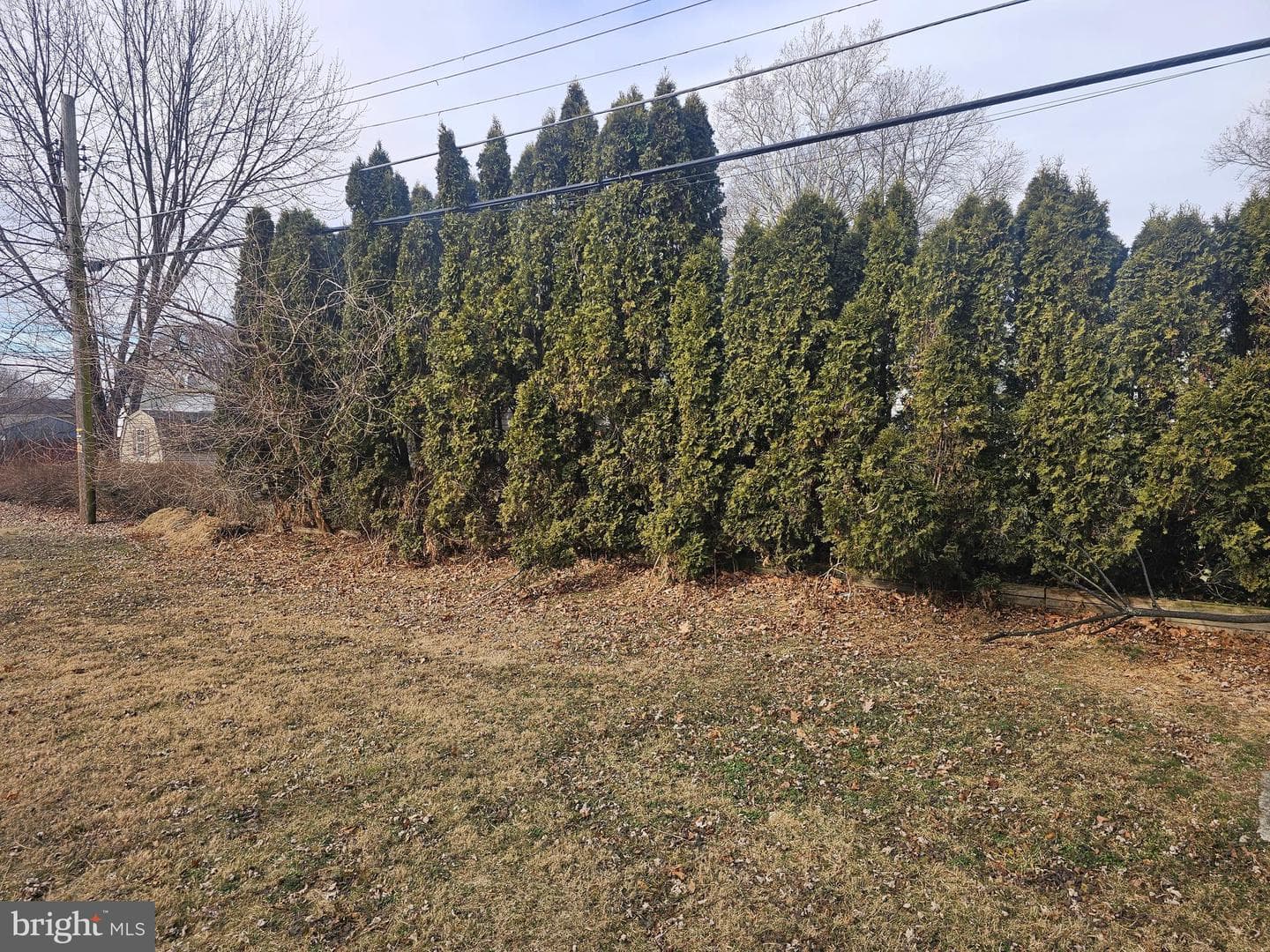 407 E Elm Street photo 15