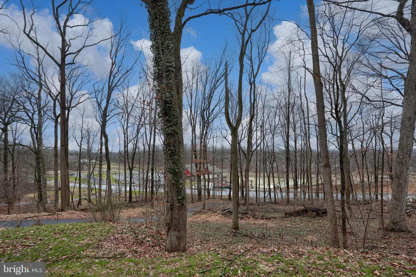 116 Ironmaster Road photo 64