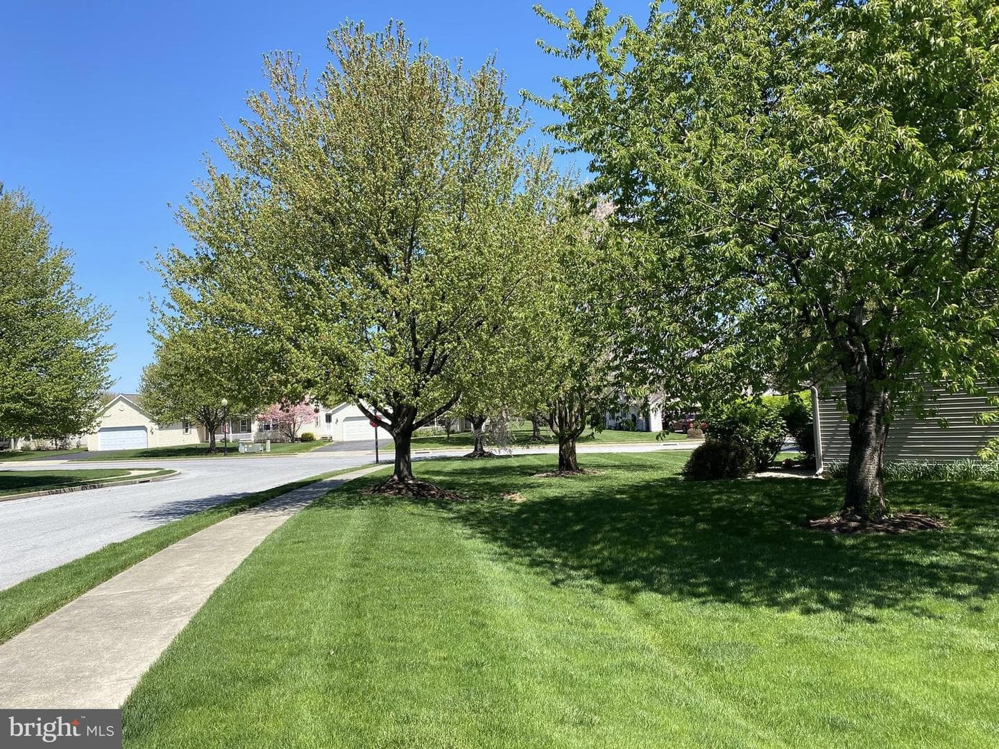 36 Rosemont Drive photo 61