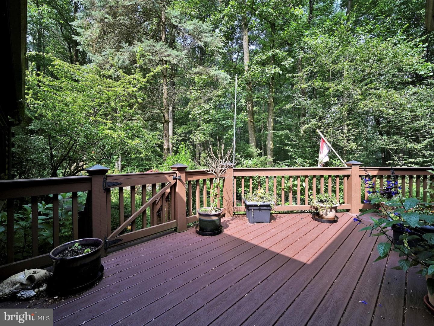 506 Hemlock Lane photo 50
