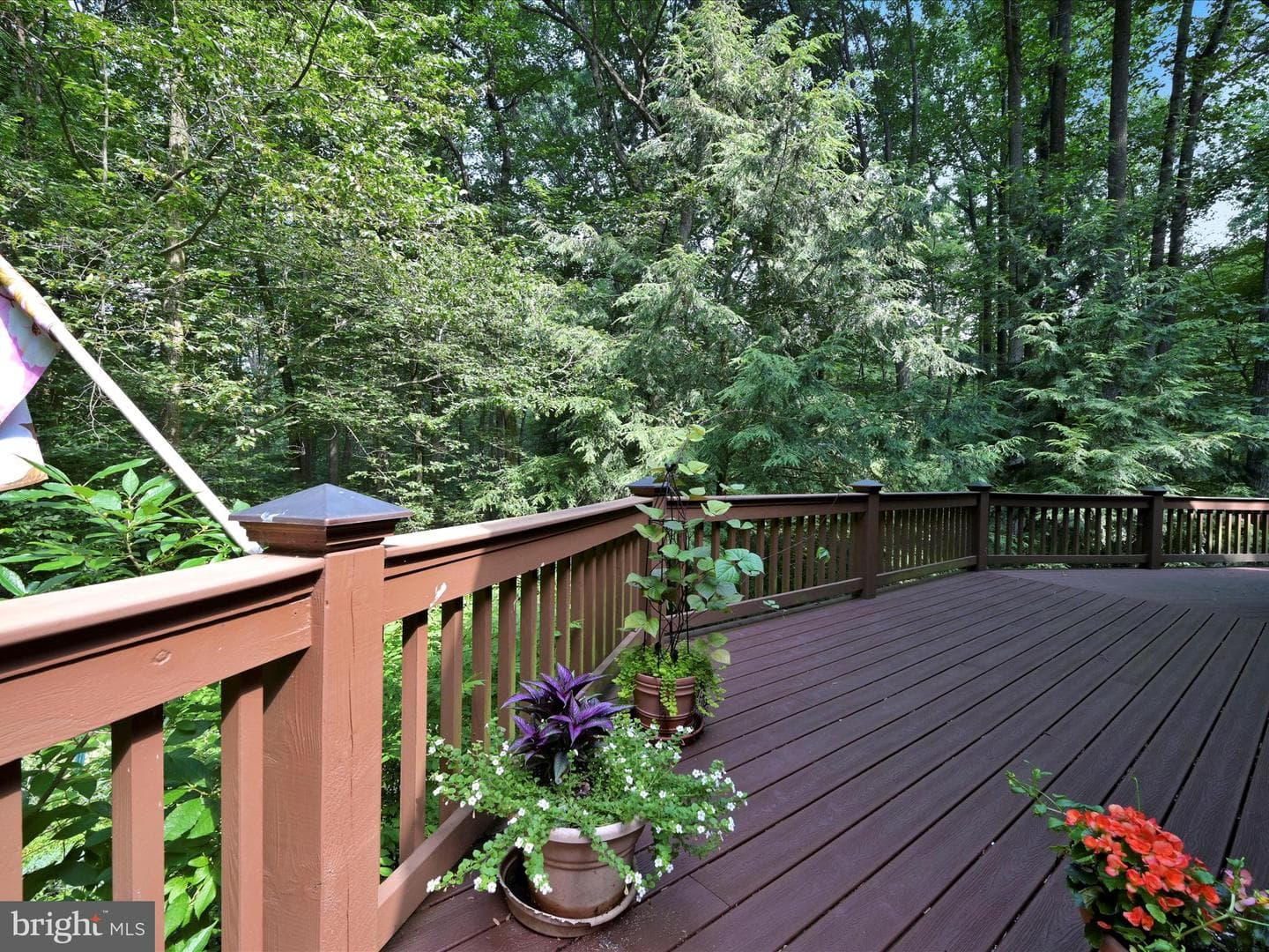506 Hemlock Lane photo 51