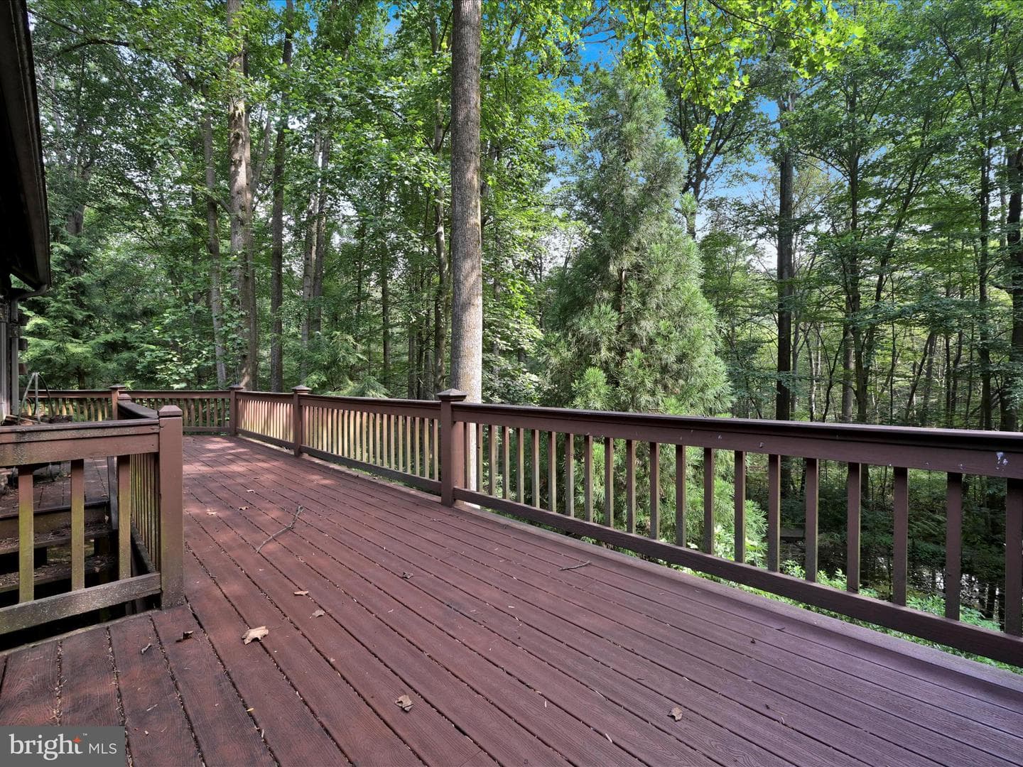 506 Hemlock Lane photo 54