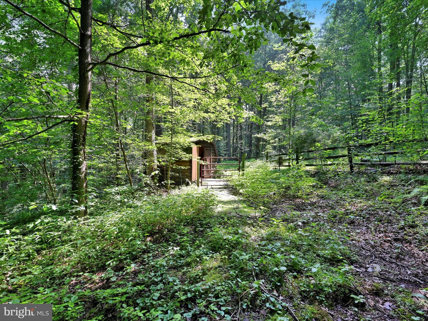 506 Hemlock Lane photo 61