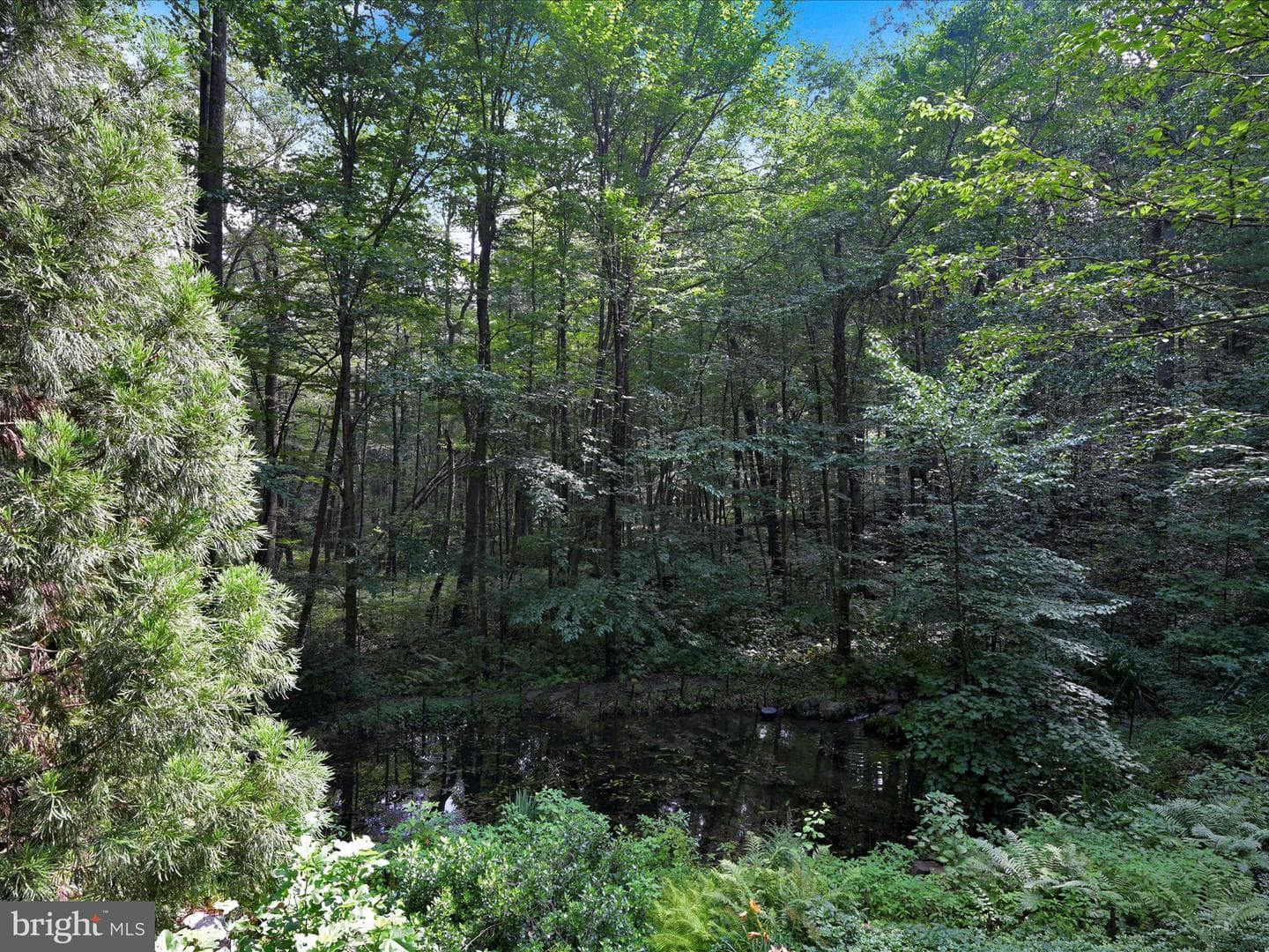 506 Hemlock Lane photo 63