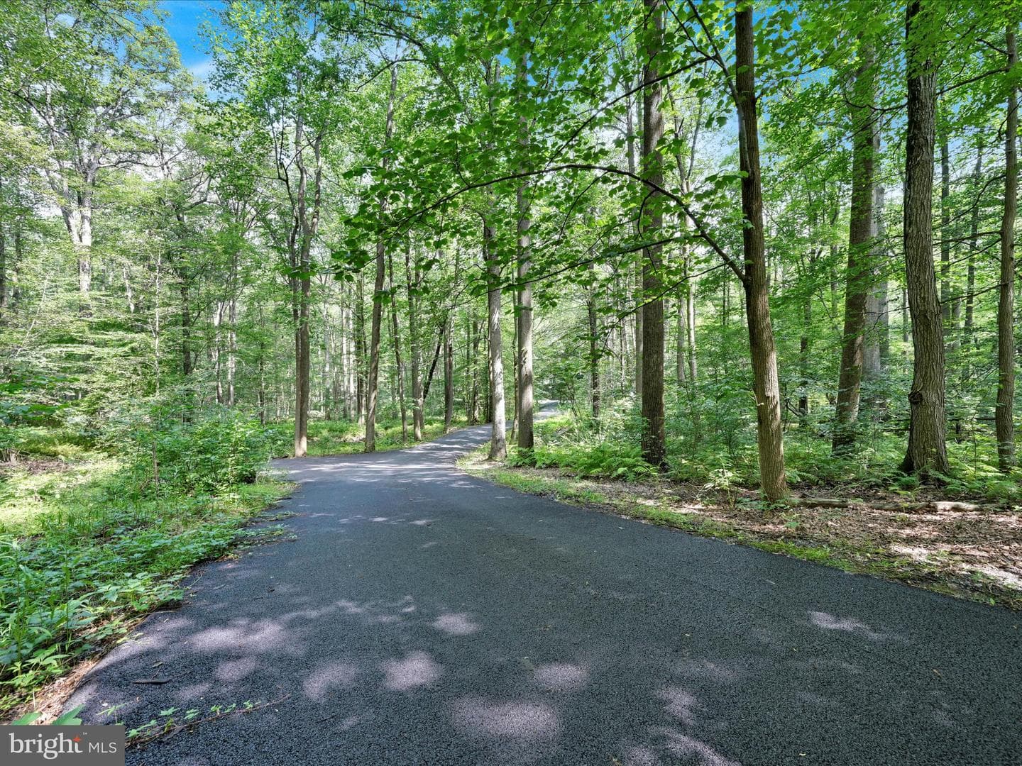 506 Hemlock Lane photo 65