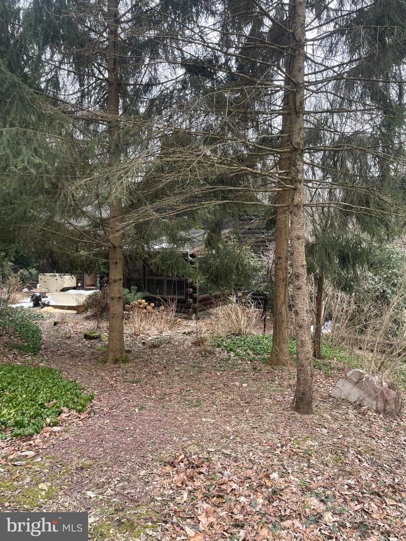 506 Hemlock Lane photo 9