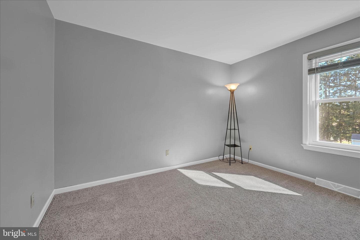 98 Dohner photo 12