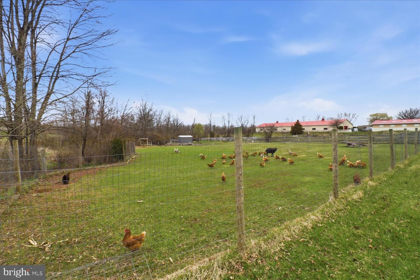 141 Bell Road photo 4