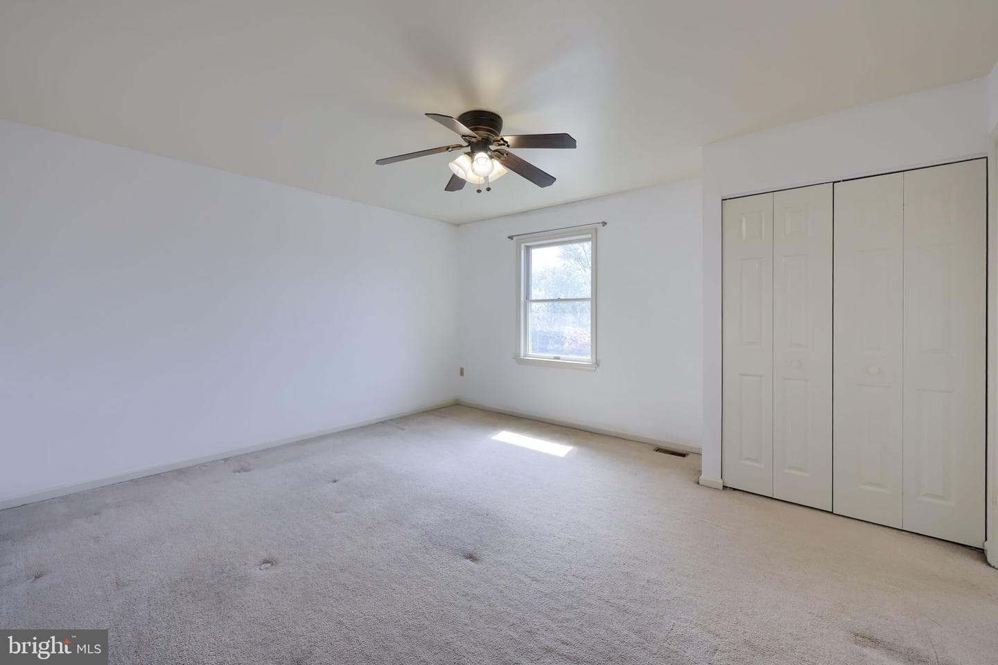 142 Palm Lane photo 28