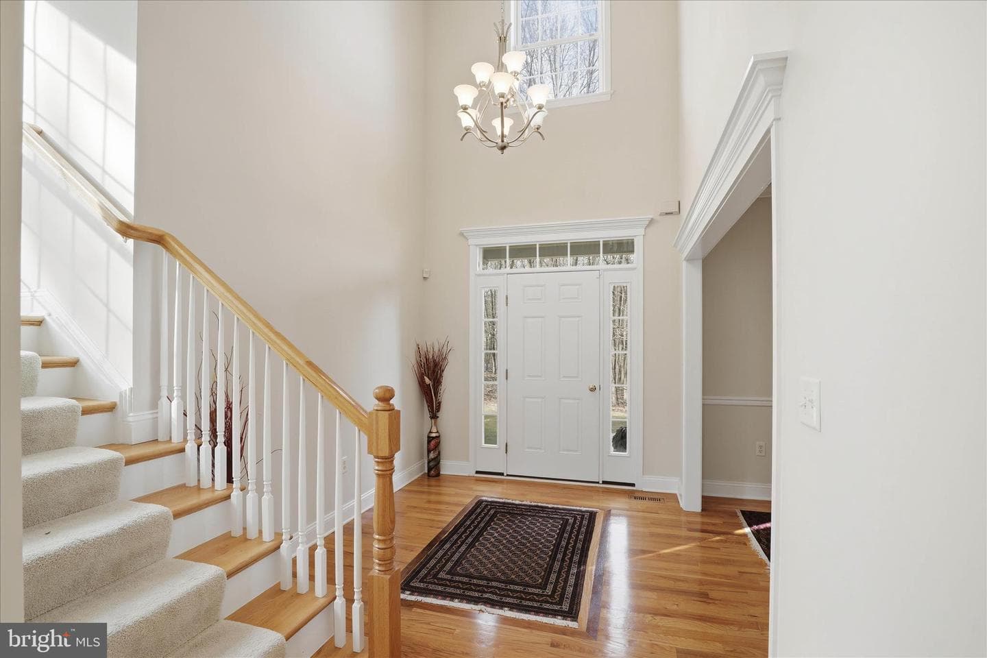 204 Iron Valley Drive photo 26