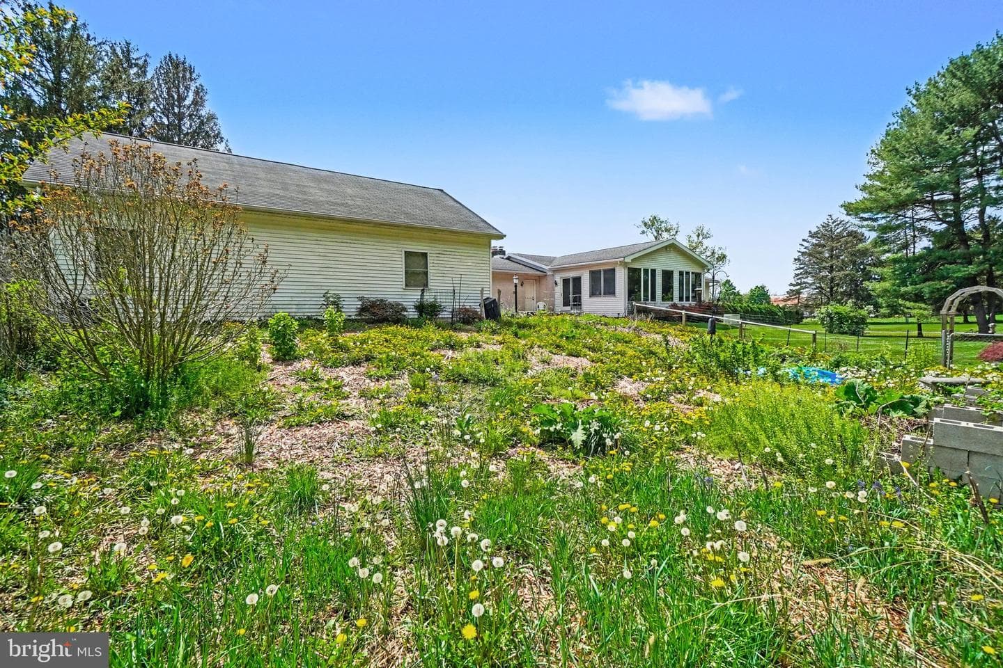 10416 Jonestown Road photo 25