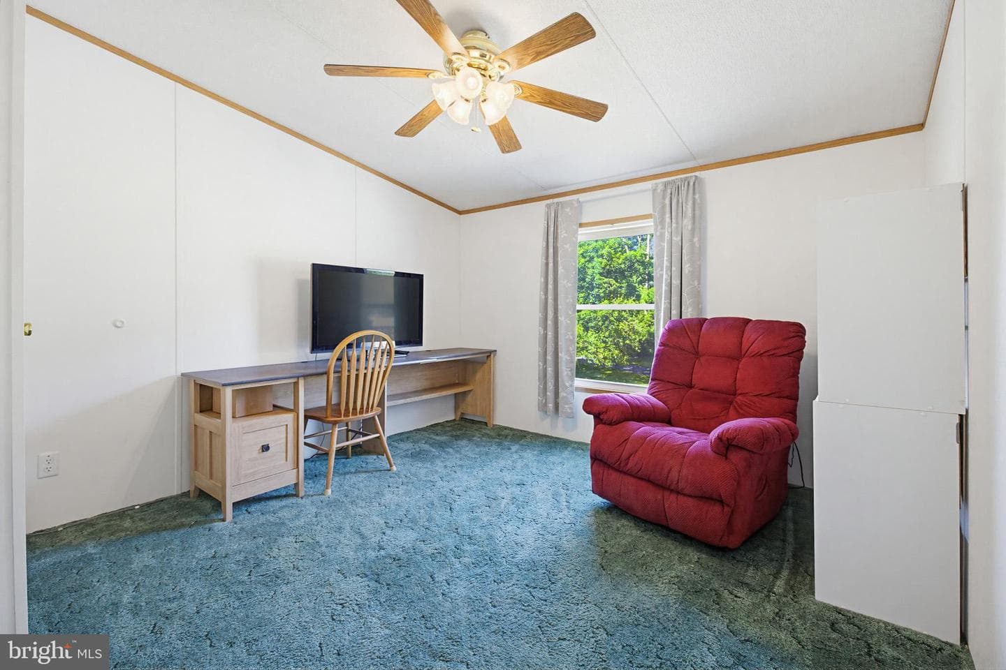 315 Lewis Road photo 18