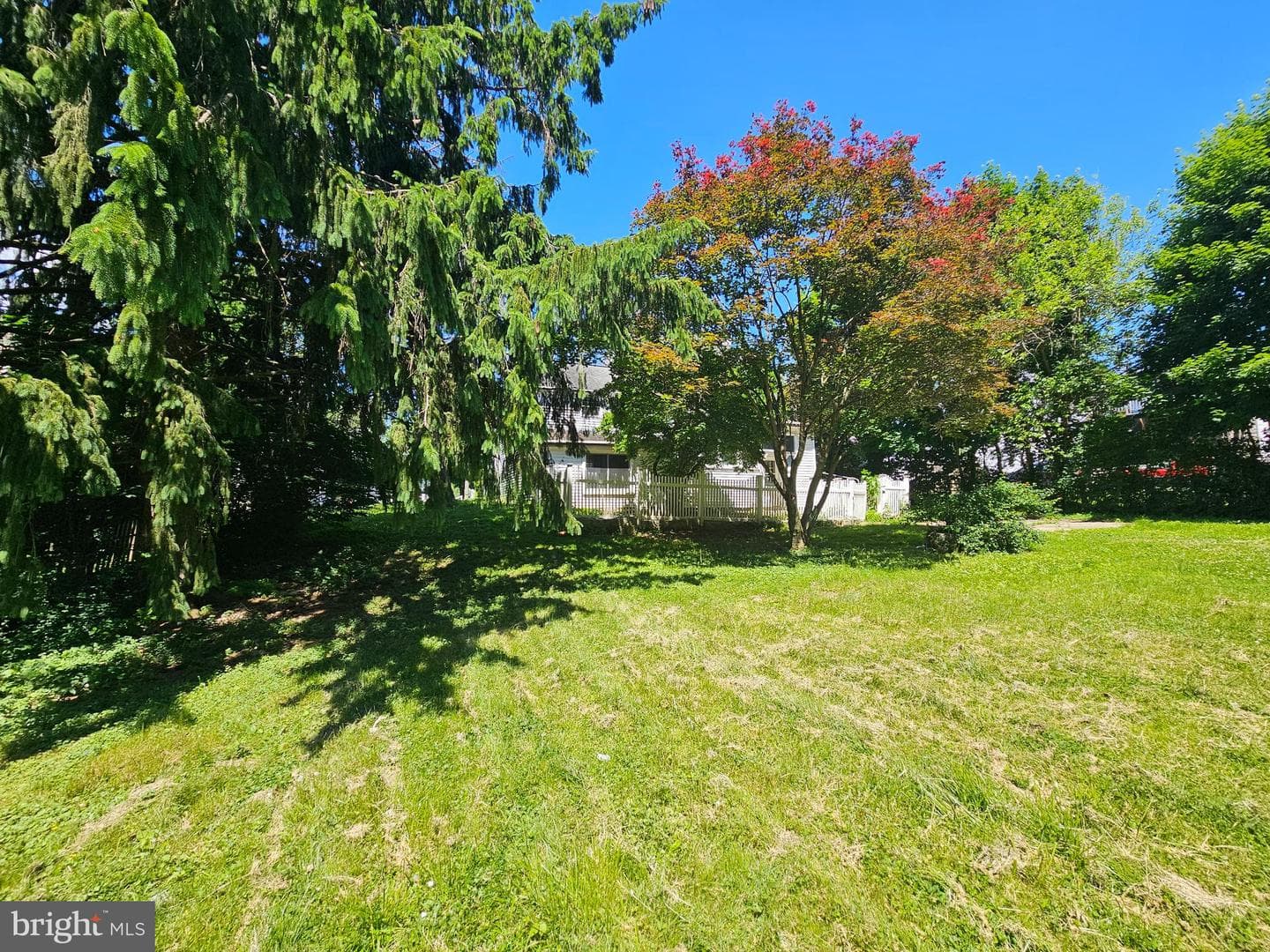 902 Miller Street photo 24