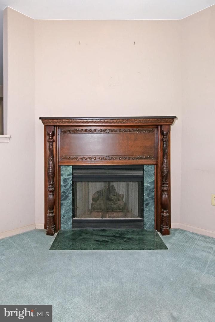 14 Shady Ln U-0001 photo 28
