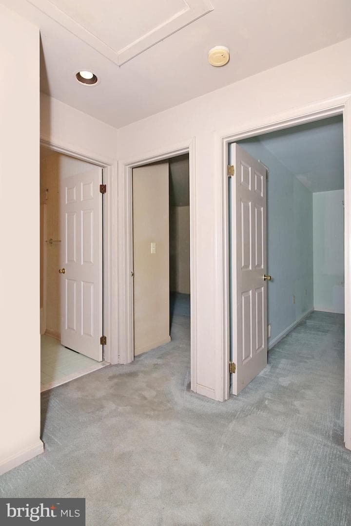 14 Shady Ln U-0001 photo 37