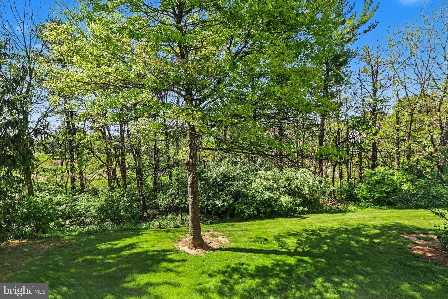 20 Shady Lane photo 25