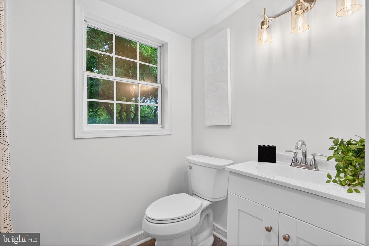 684 W Cedar Street photo 24