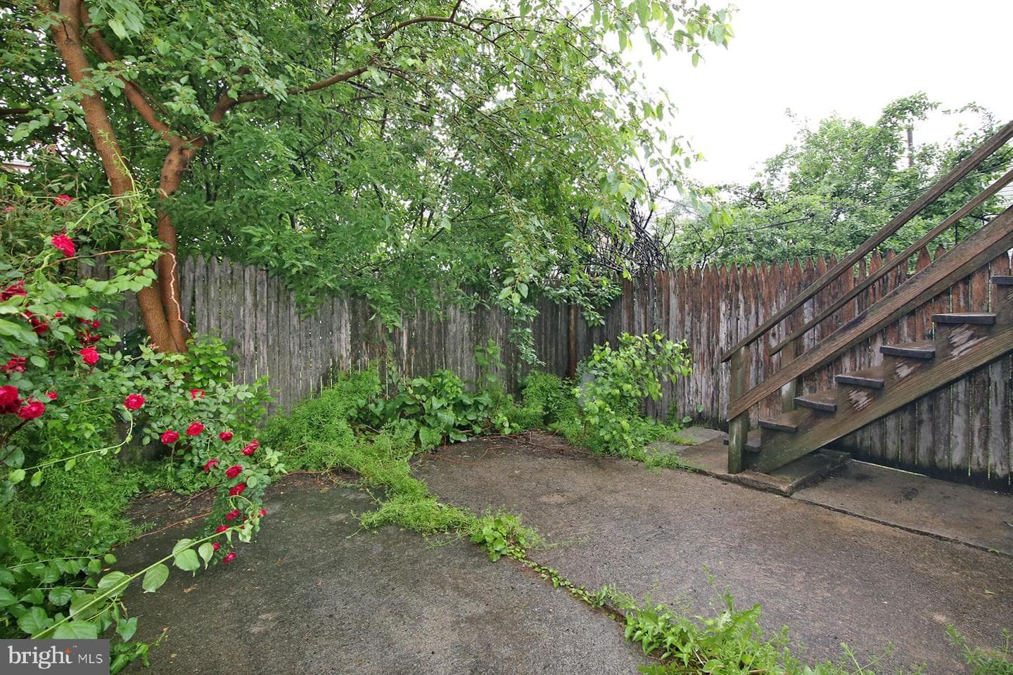 27 N 6th Street photo 14