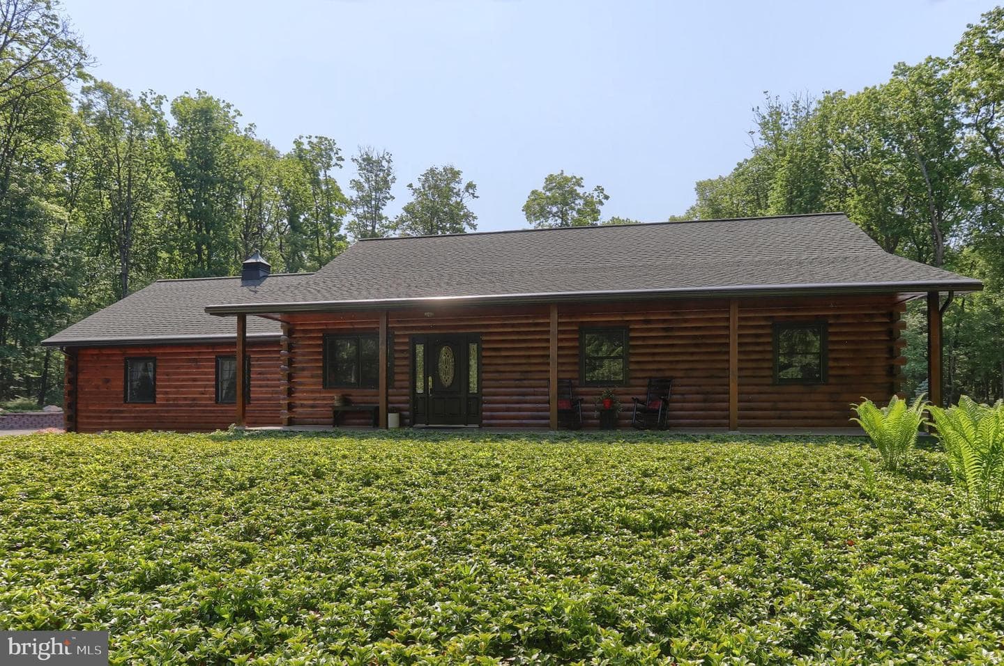 1005 Tulip Tree Drive photo 7