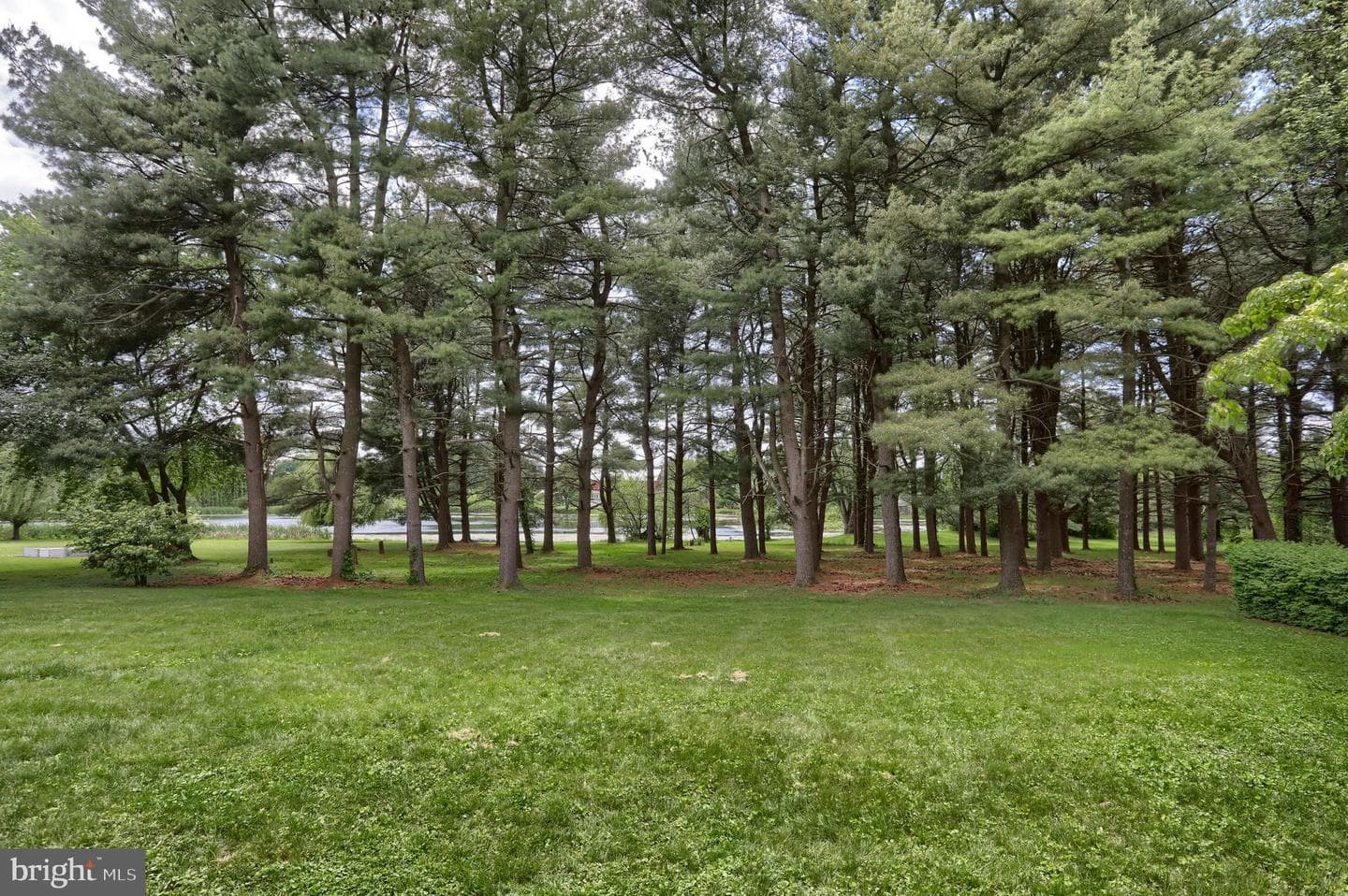235 Narrows Drive photo 64