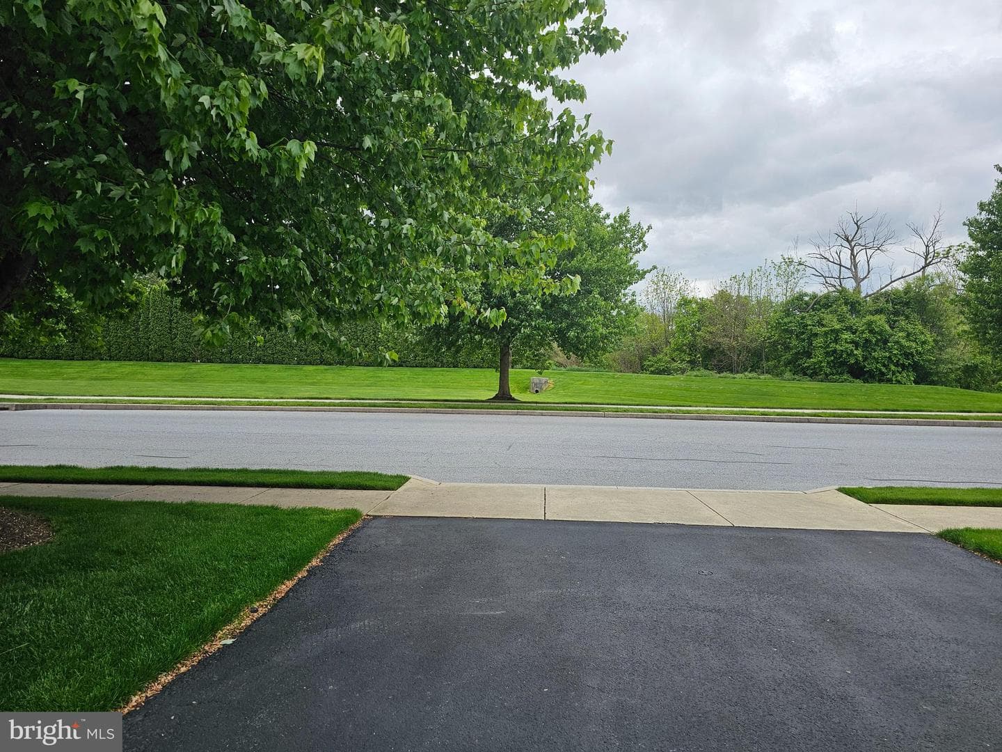 122 Arbor Drive photo 8