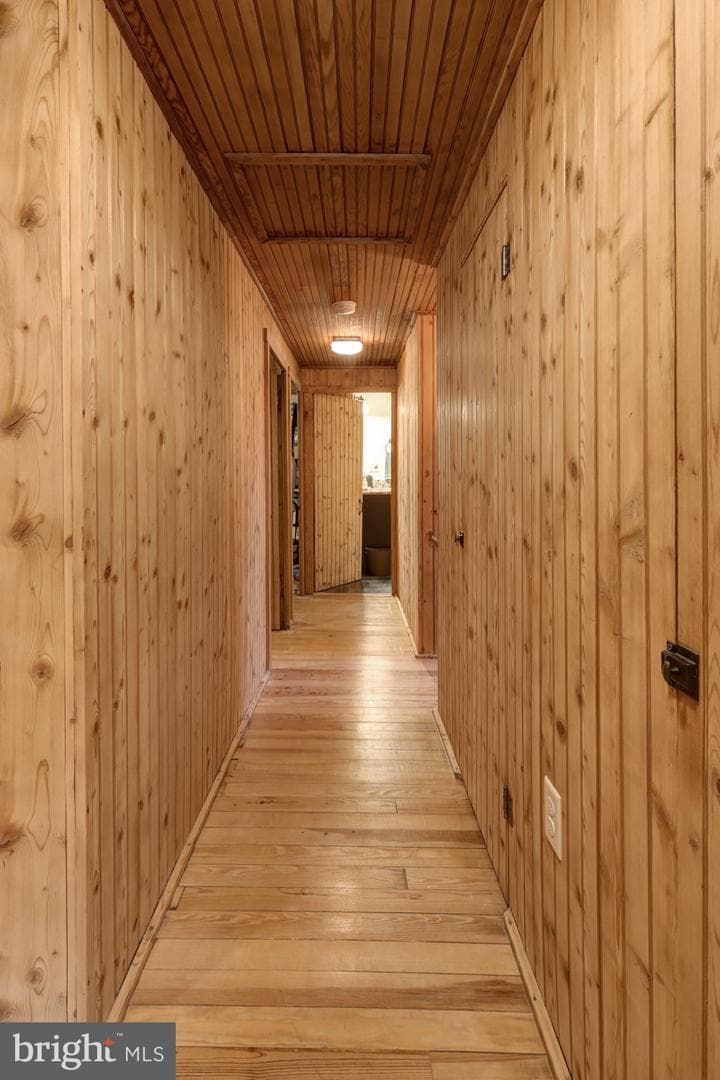 109 Locust Avenue photo 43