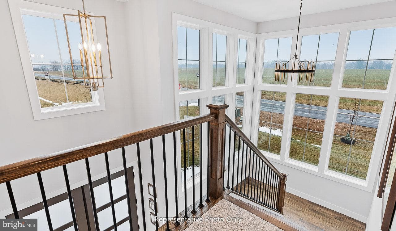 244 Dahlia Circle photo 16