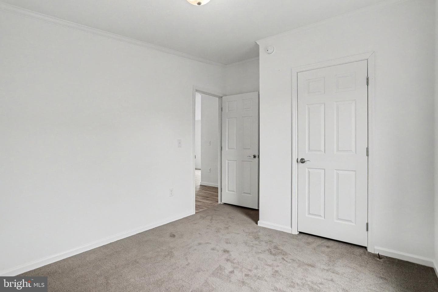 52 Evergreen Aly photo 30