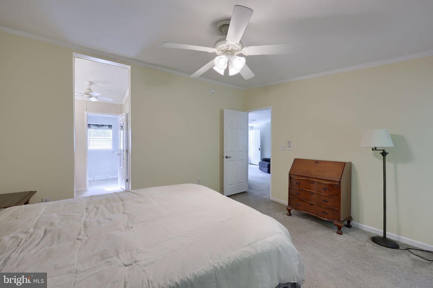 1037 Hemlock Circle photo 24