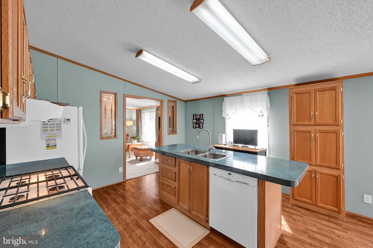 379 W Spruce Street photo 18