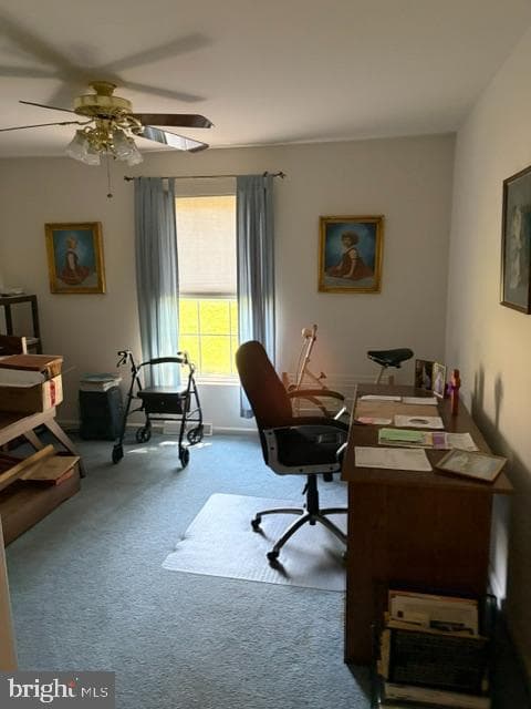 602 Mulberry Lane photo 7