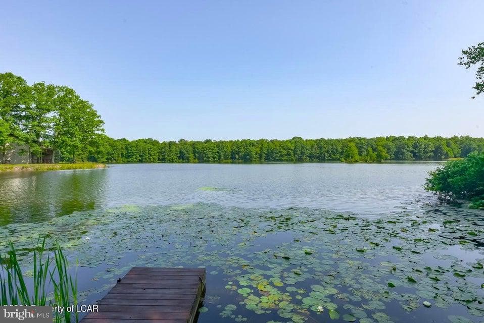 228 Trapper Springs Lane photo 50