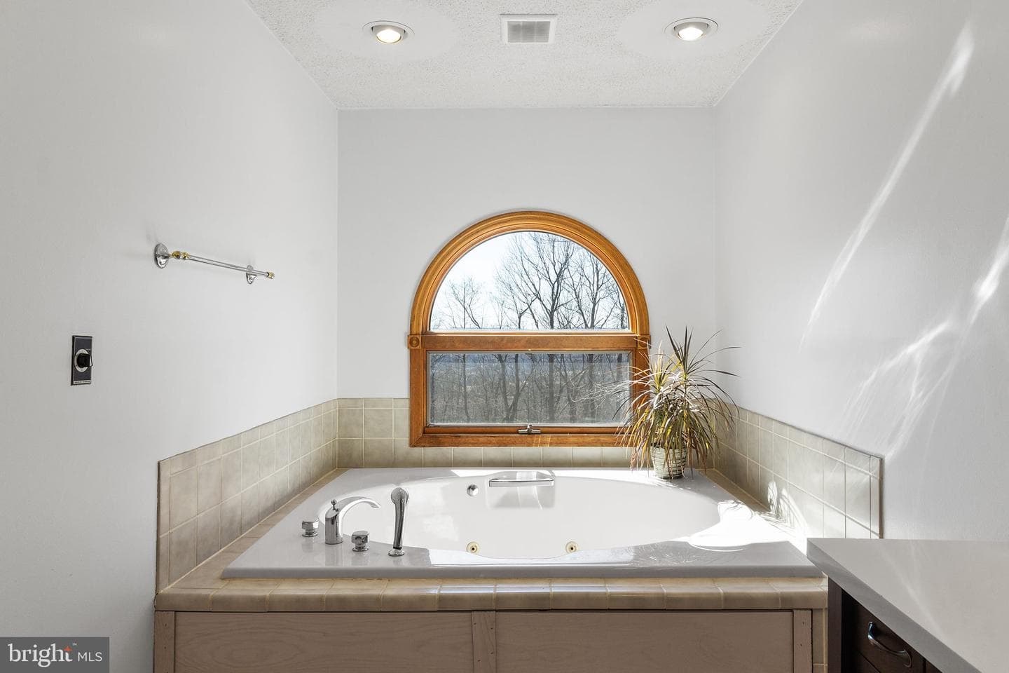 56 Bentwood Road photo 28