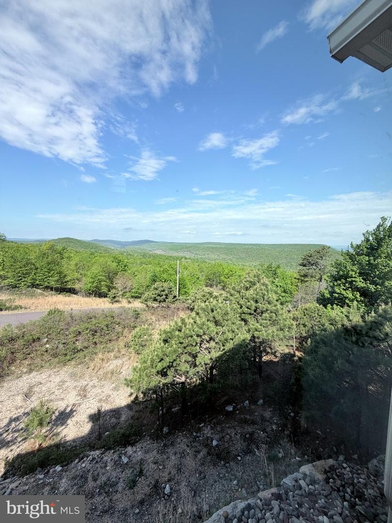 532 Buck Mountain Boulevard photo 11