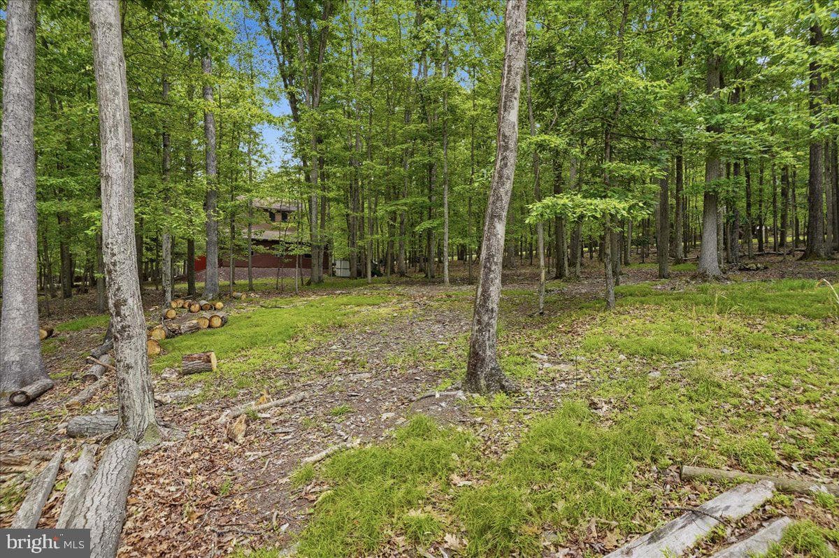 208 Owego Drive photo 11