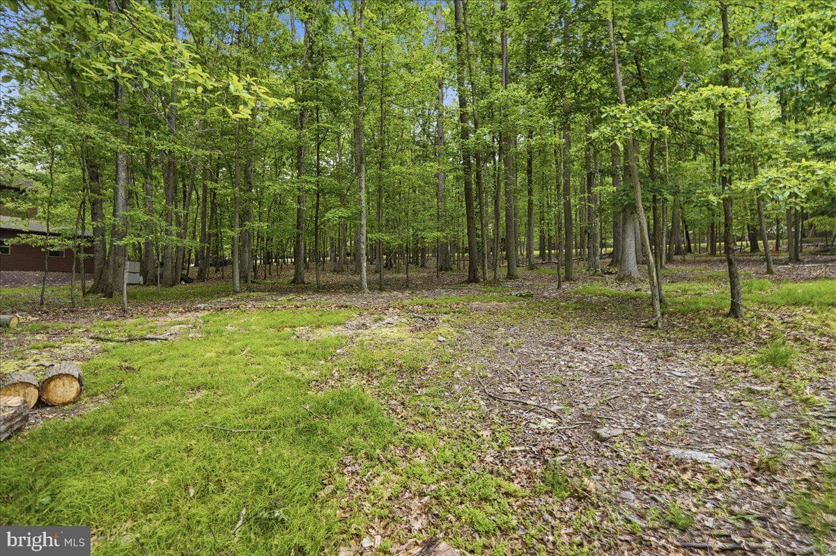 208 Owego Drive photo 12