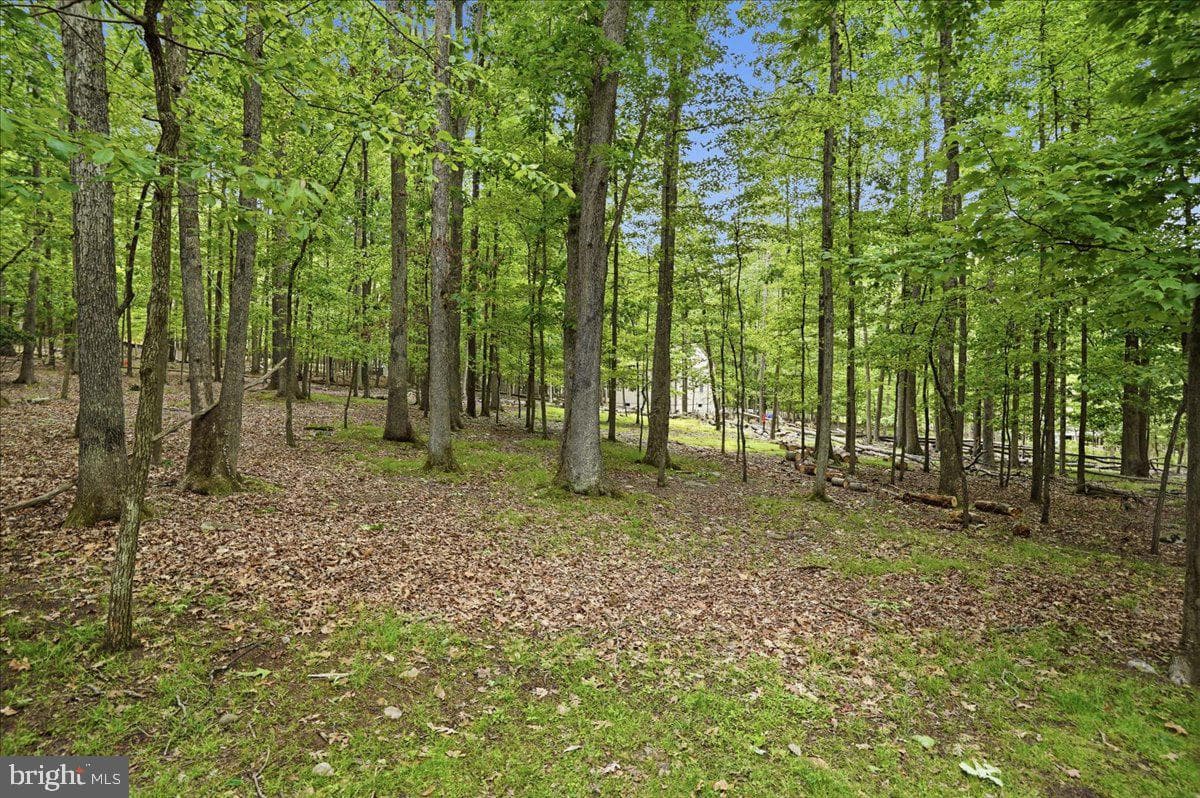 208 Owego Drive photo 13