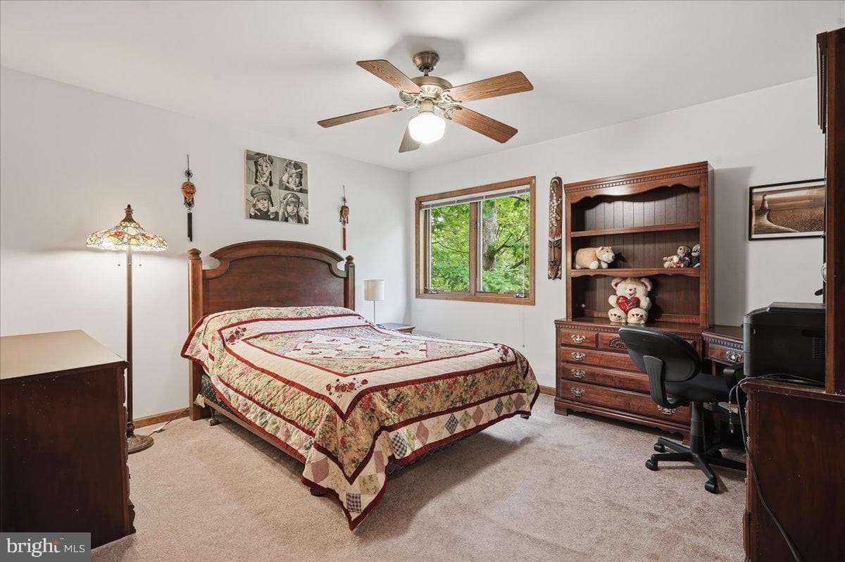 208 Owego Drive photo 49
